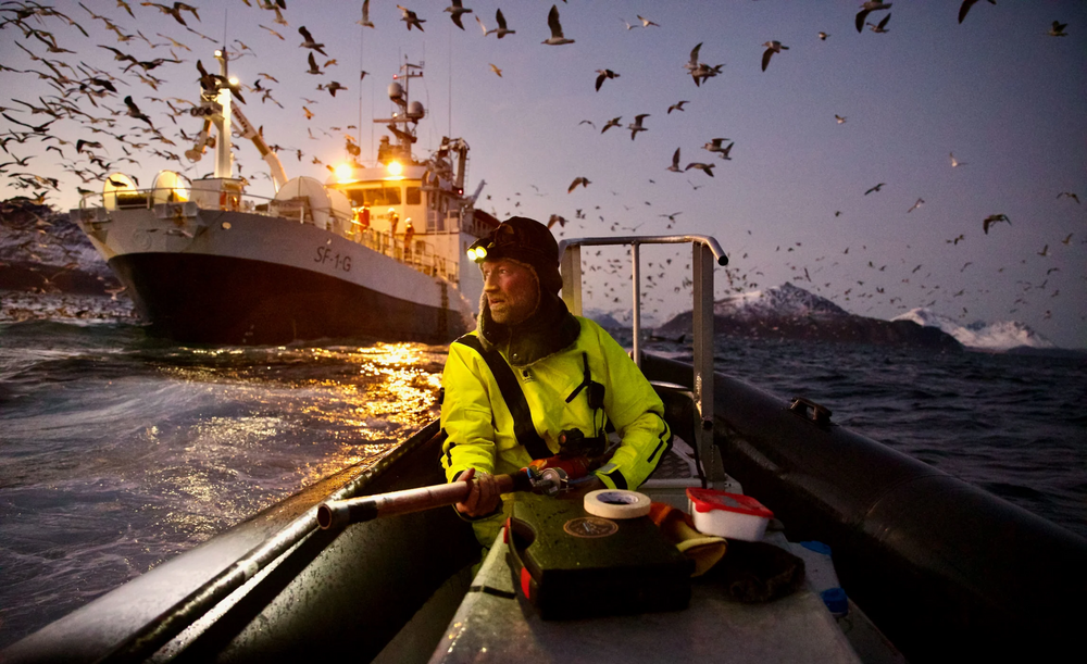 2025. Emma Vogel, écologiste spécialisée dans l'écologie spatiale, a photographié le biologiste Audun Rikardsen alors qu'ils suivaient des baleines dans un fjord du nord de la Norvège