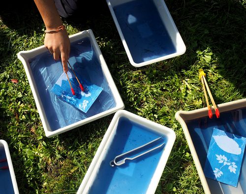 ateliers cyanotype