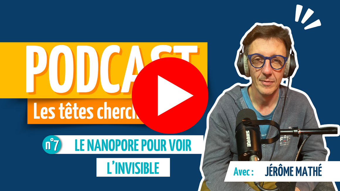 têtes chercheuses