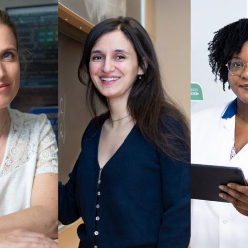 Appel à candidatures pour les femmes et la science